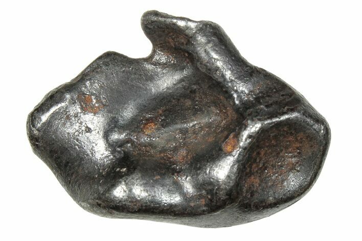 Fusion Crusted Sikhote-Alin Iron Meteorite ( g) - Russia #246920